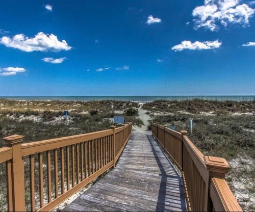 Windsor Place - Palmetto Dunes - Oceanfront. Pools. Hilton Head Island - image 7