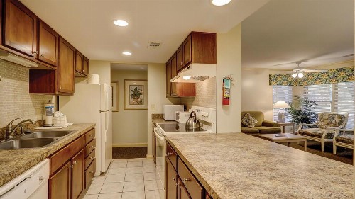 The Village Palmetto Dunes - image 11