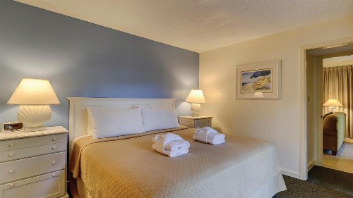 The Village Palmetto Dunes - image 13