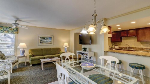 The Village Palmetto Dunes - image 25
