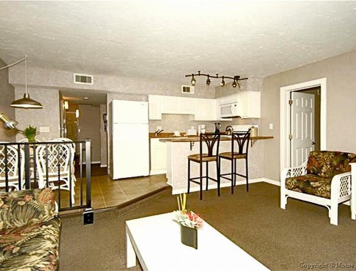 Modest Family Condo at Hilton Head Island - Two Bedroom Condo #1 - image 10