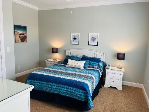 287 OBW home - image 5