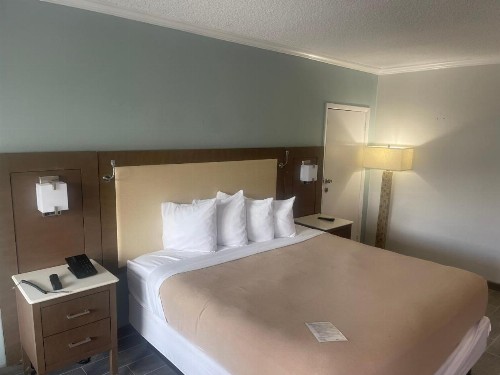 Holiday Hotel - image 25