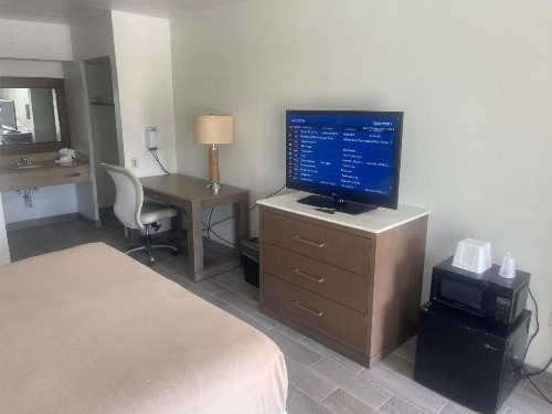 Holiday Hotel - image 28