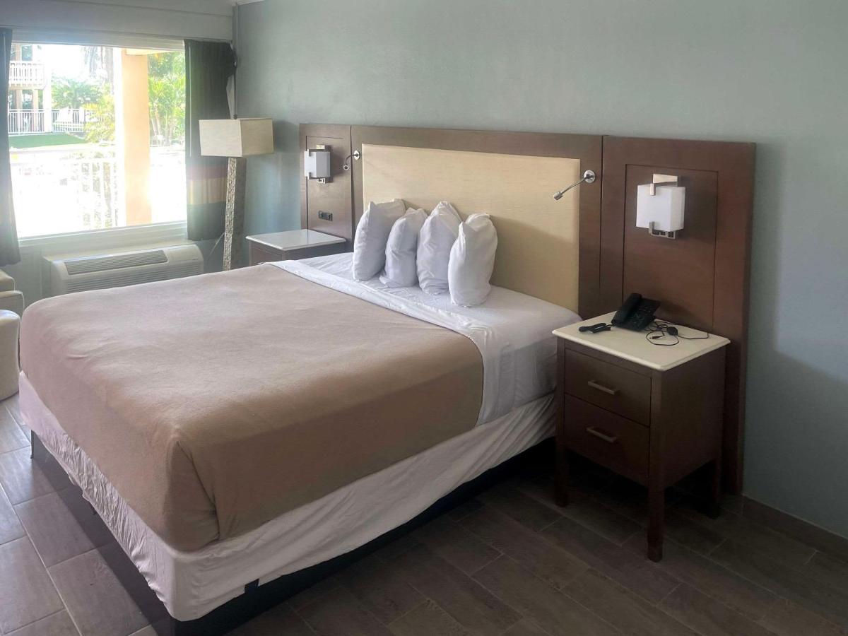 Holiday Hotel - image 4
