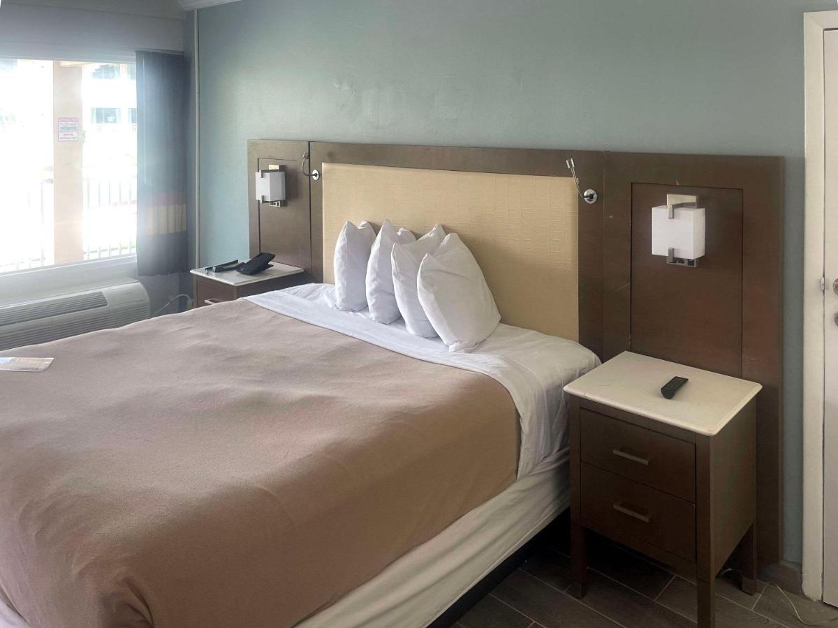 Holiday Hotel - image 5