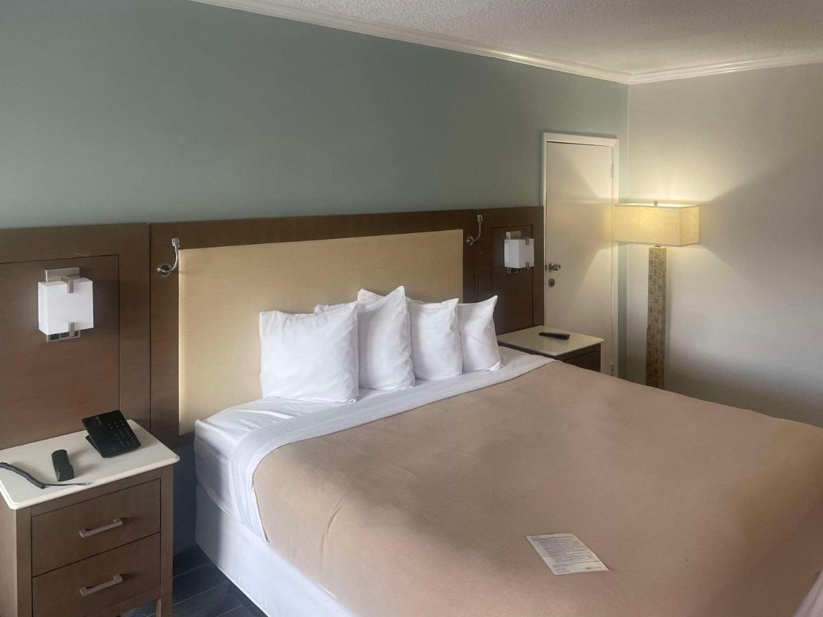 Holiday Hotel - image 6