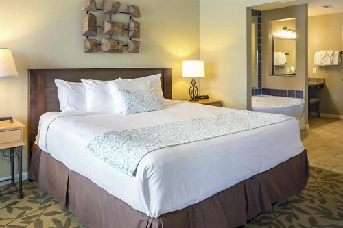 Bluegreen Vacations Paradise Point Ascend Resort Collection - image 9