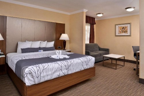 Best Western Hollywood Plaza Inn - Hollywood Walk of Fame Hotel - LA - image 12