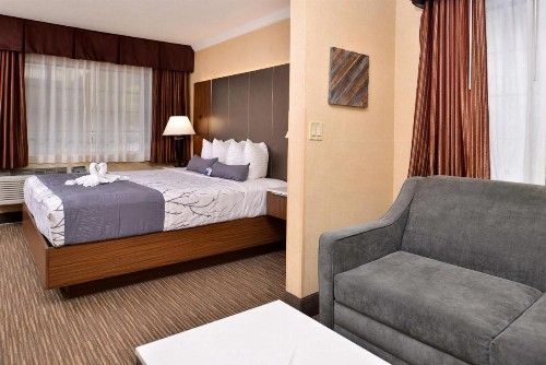 Best Western Hollywood Plaza Inn - Hollywood Walk of Fame Hotel - LA - image 14