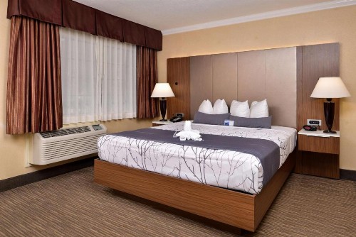 Best Western Hollywood Plaza Inn - Hollywood Walk of Fame Hotel - LA - image 20