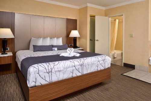 Best Western Hollywood Plaza Inn - Hollywood Walk of Fame Hotel - LA - image 23