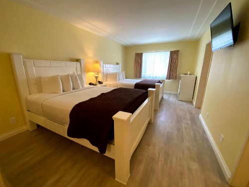 Hollywood Celebrity Hotel - image 25
