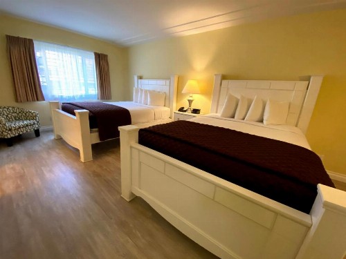 Hollywood Celebrity Hotel - image 29