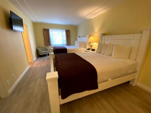 Hollywood Celebrity Hotel - image 30