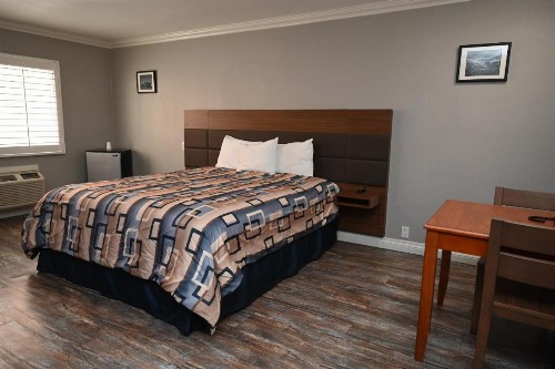Hollywood Stars Inn - image 27