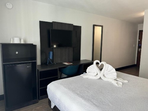 Motel 6 Hollywood - image 19