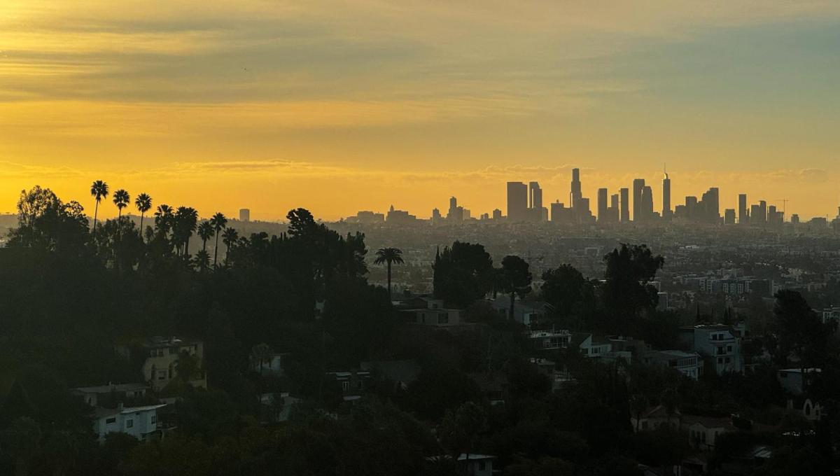 W Hollywood - image 5