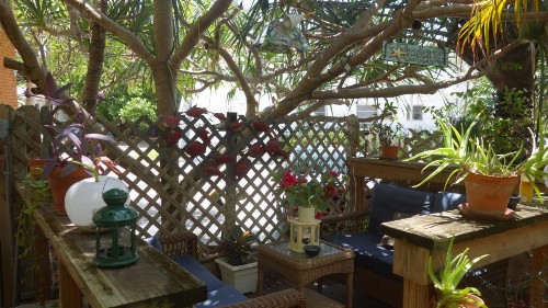 Ocean Inn - image 48