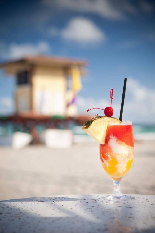 Hollywood Beach Marriott - image 6