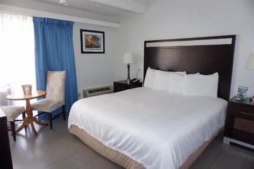 The Hollywood Gateway Inn - image 13