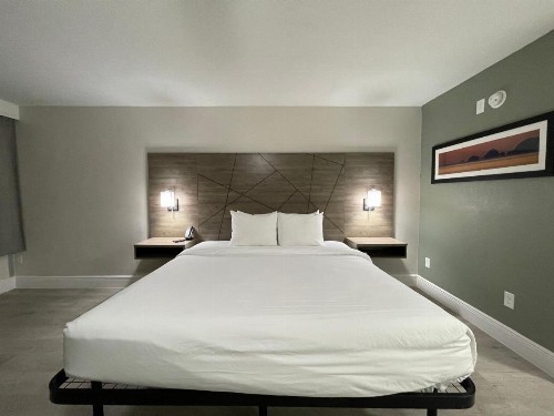 Quality Inn & Suites Airport - Cruise Port Hollywood - image 33