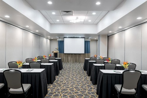 Holiday Inn Fort Lauderdale Airport an IHG Hotel - image 30