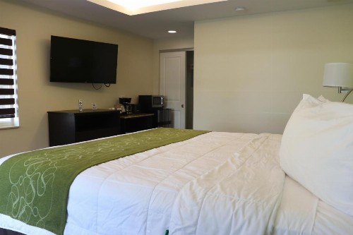 Curtis Inn & Suites - image 11