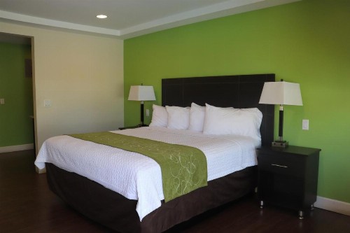 Curtis Inn & Suites - image 14