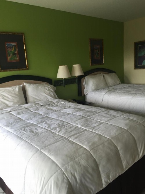Curtis Inn & Suites - image 47