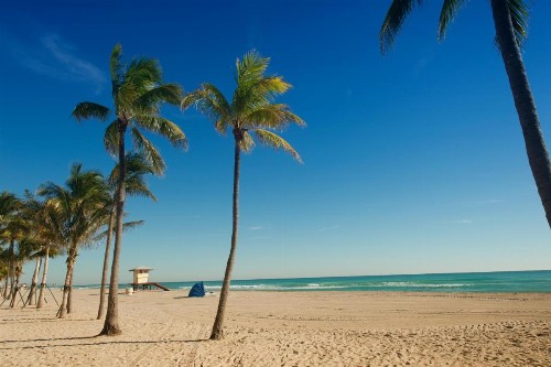 Hollywood Beachside Boutique Suite - image 41