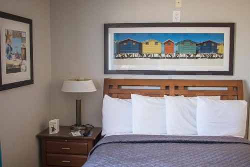 Riptide Oceanfront Hotel - image 38