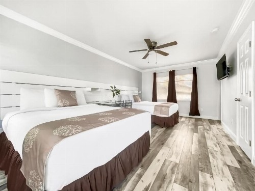 Neptune Hollywood Vacation Rentals - image 4