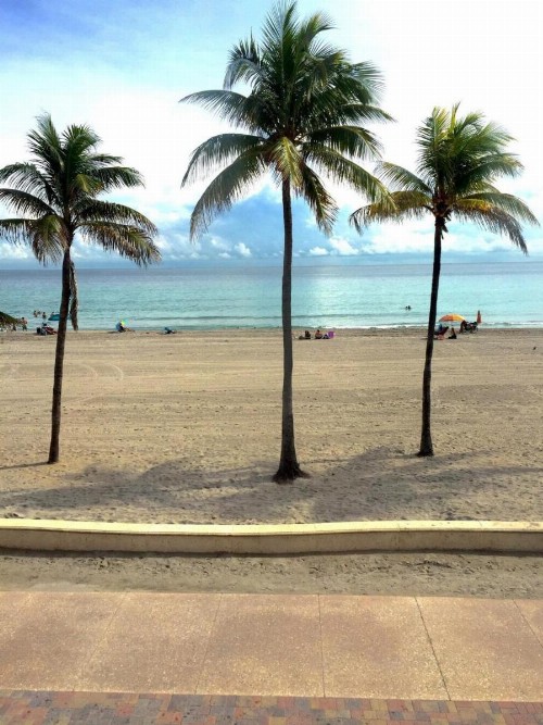 La Terrace Oceanfront - image 45