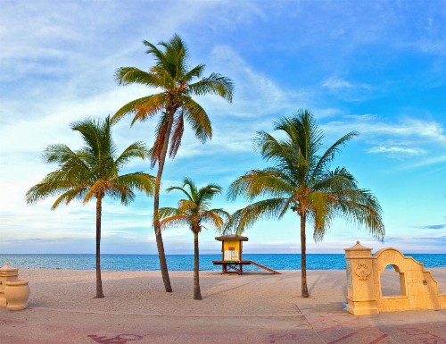 Caribbean Resort by the Ocean - image 17