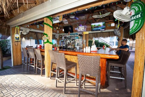 Caribbean Resort by the Ocean - image 19