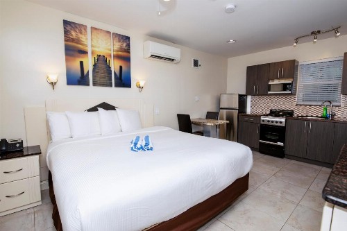 Caribbean Resort by the Ocean - image 36