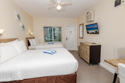 Caribbean Resort by the Ocean - image 42