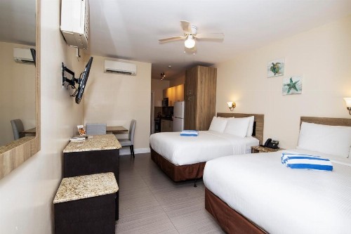 Caribbean Resort by the Ocean - image 9