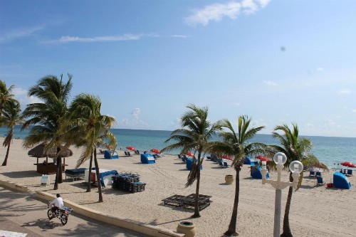 Golden Sand Oceanfront - image 34