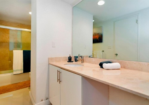 Hallandale 11D - image 6