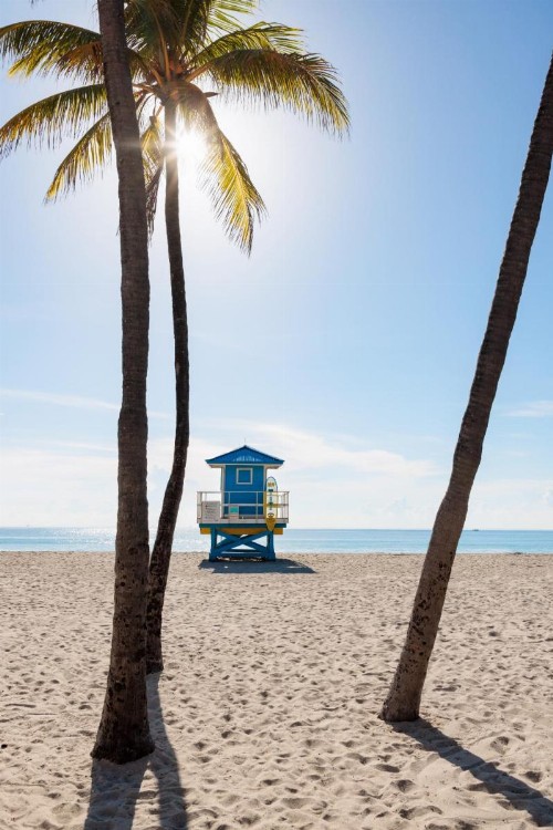 Costa Hollywood Beach Resort - image 39