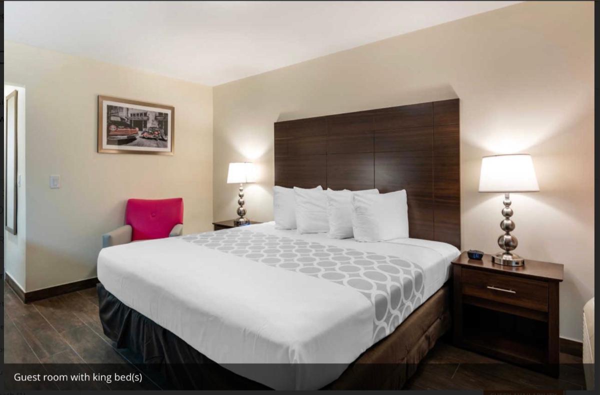 Rodeway Inn near Hollywood Beach - image 5