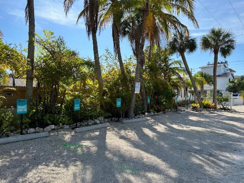 An Island Getaway at Palm Tree Villas - image 20