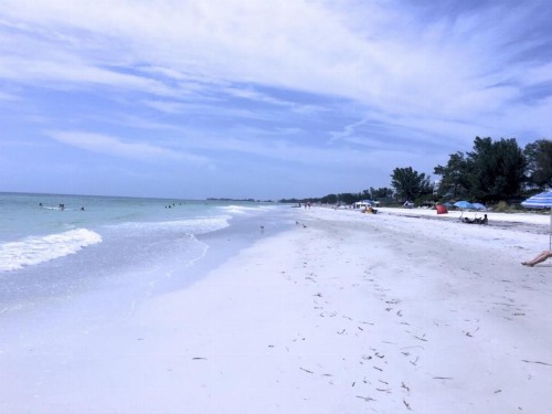 The Anna Maria Island Beach Paradise 5 - image 11