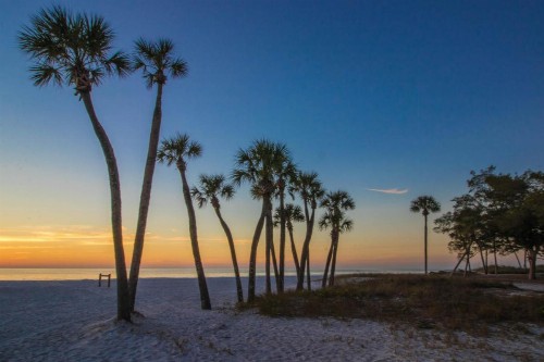 Sandy Pointe - image 11