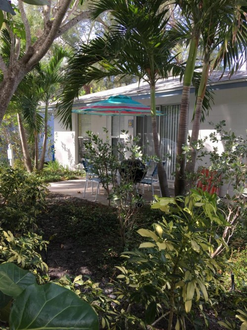 Bamboo Apartments - image 15