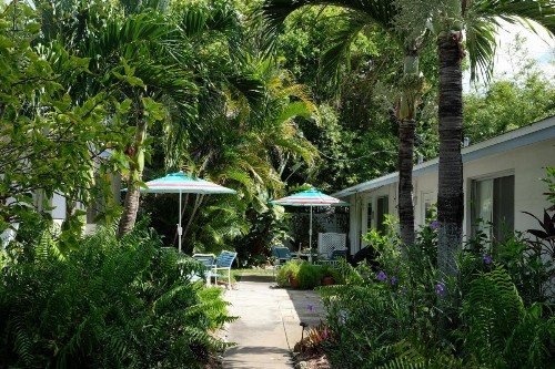 Bamboo Apartments - image 18