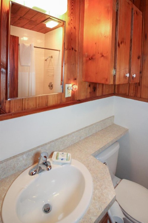 Bamboo Apartments - image 6