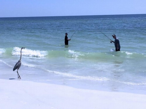 Sunshine Beach Rentals - image 7